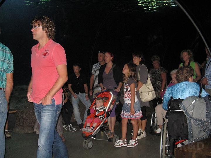 I&Y 5 september 2010 (2) Blijdorp.JPG